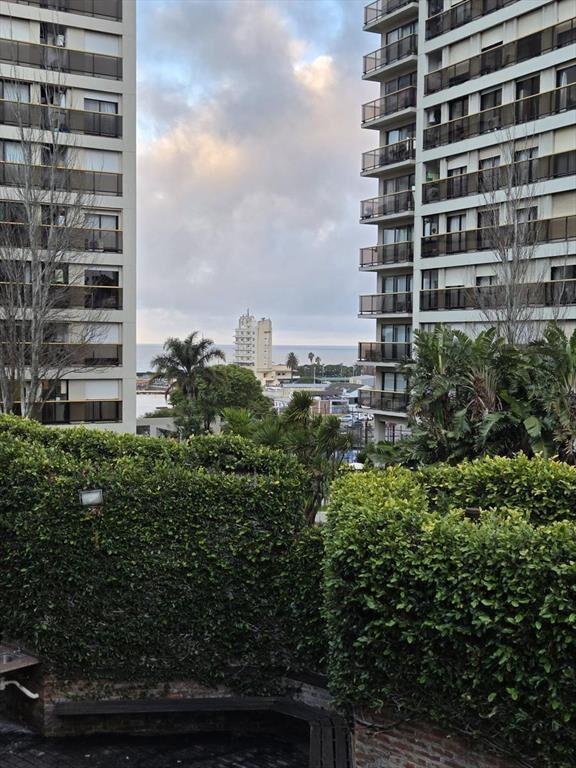 Oficina -Oficina, Puerto del Buceo, 76 m2, 2 ambientes, gge