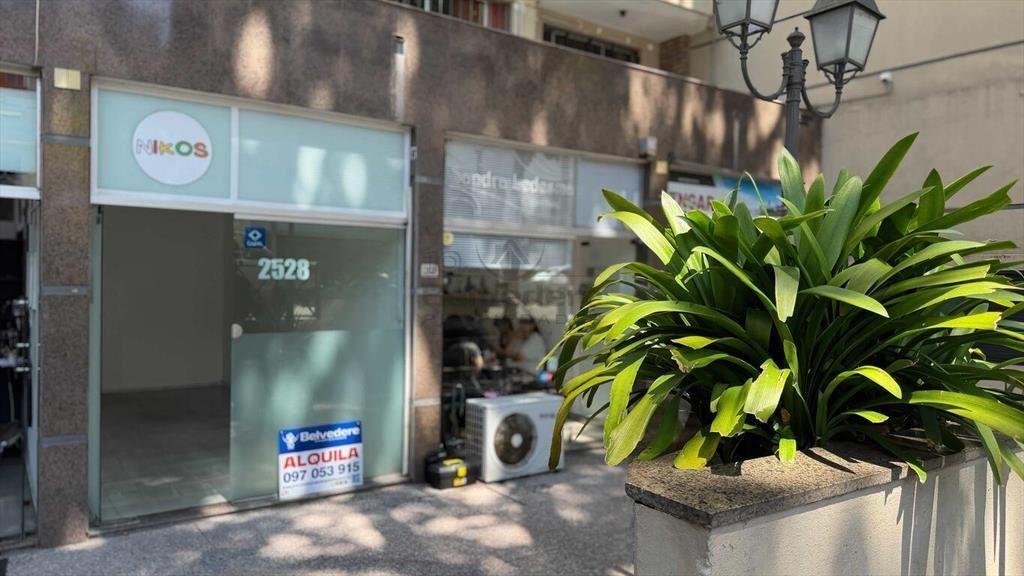 Local comercial en alquiler en Punta Carretas