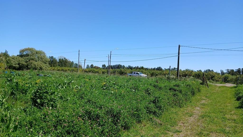 Venta de Terreno y Galpón de 1400m²