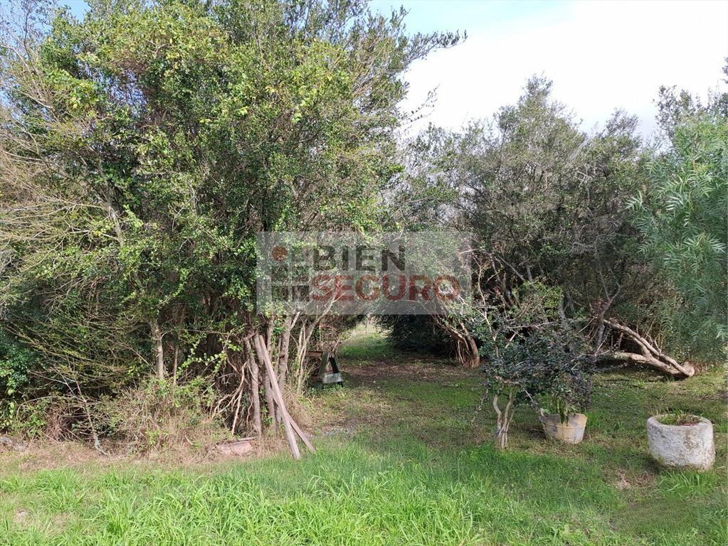Sólida casa con gran terreno de 1.200 m², en venta en Las