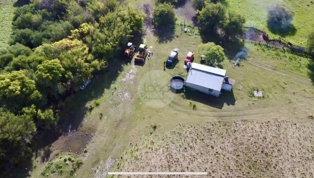 Venta de Campo en Soriano de 264ha, zona del Cololo