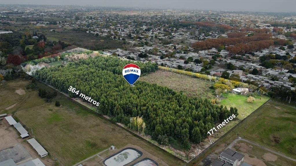 VENTA TERRENO 6 HECTÁREAS SOBRE CAMINO COLMAN