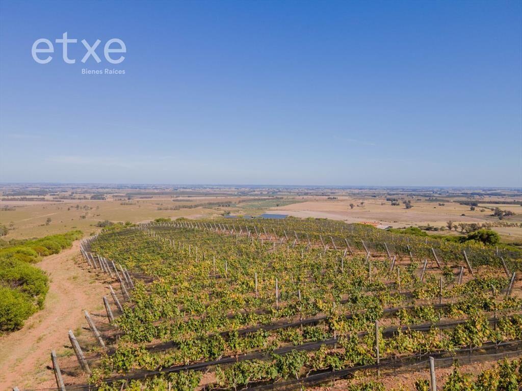 Imperdible Chacra en Venta en Las Sierras...