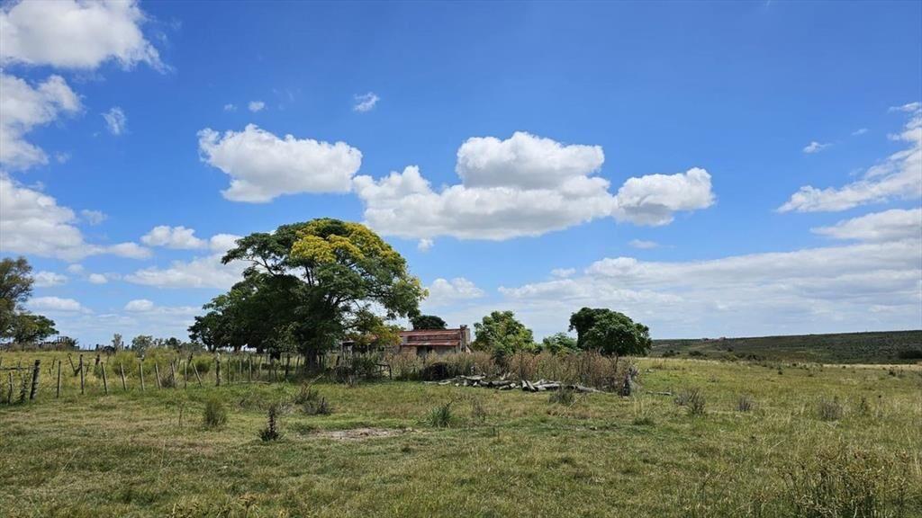 CAMPO EN VENTA- 948 HECTAREAS 6430m2