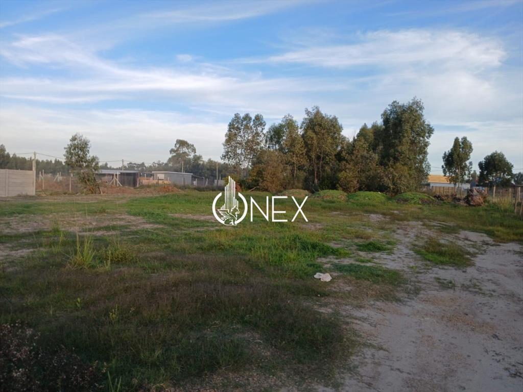 Terreno en Barrio Español