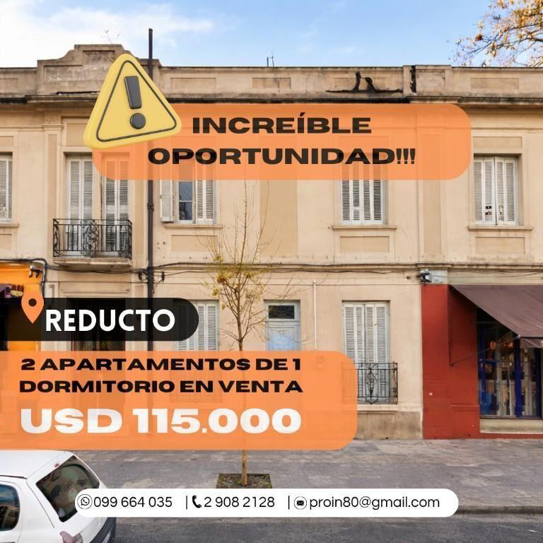 Increible oportunidad: 2 apartamentos de 1 dormitorio en Red