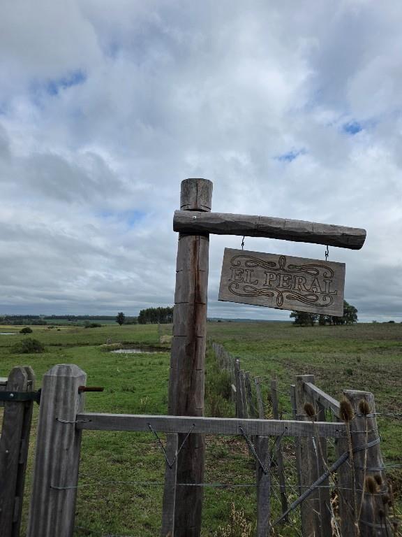 CAMPO EN SOLIS DE MATAOJO CON COSTA