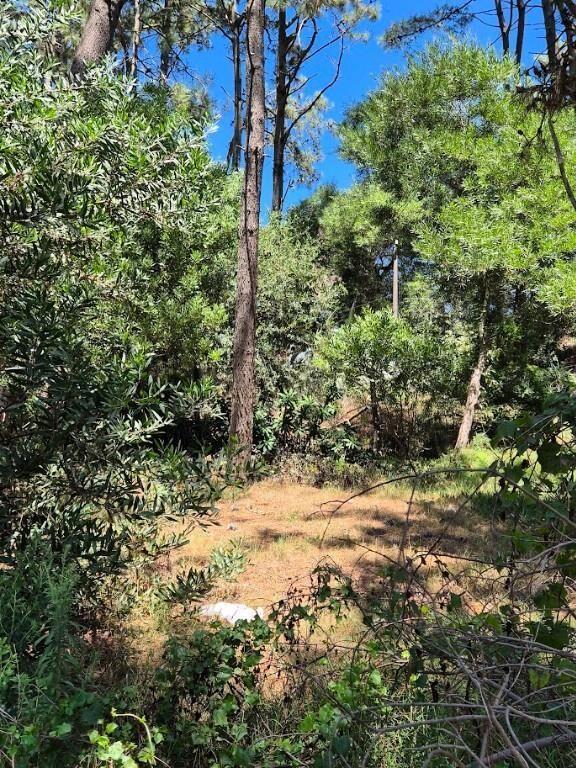 El Pinar Sur, terreno alto
