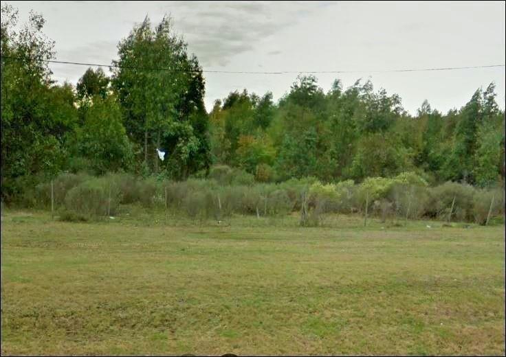 Campo sobre Ruta