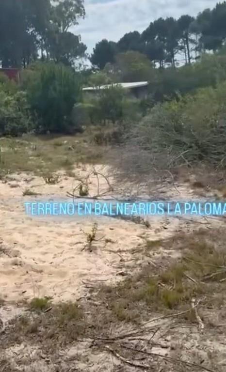 DUEÑA VENDE TERRENO EN LA PALOMA