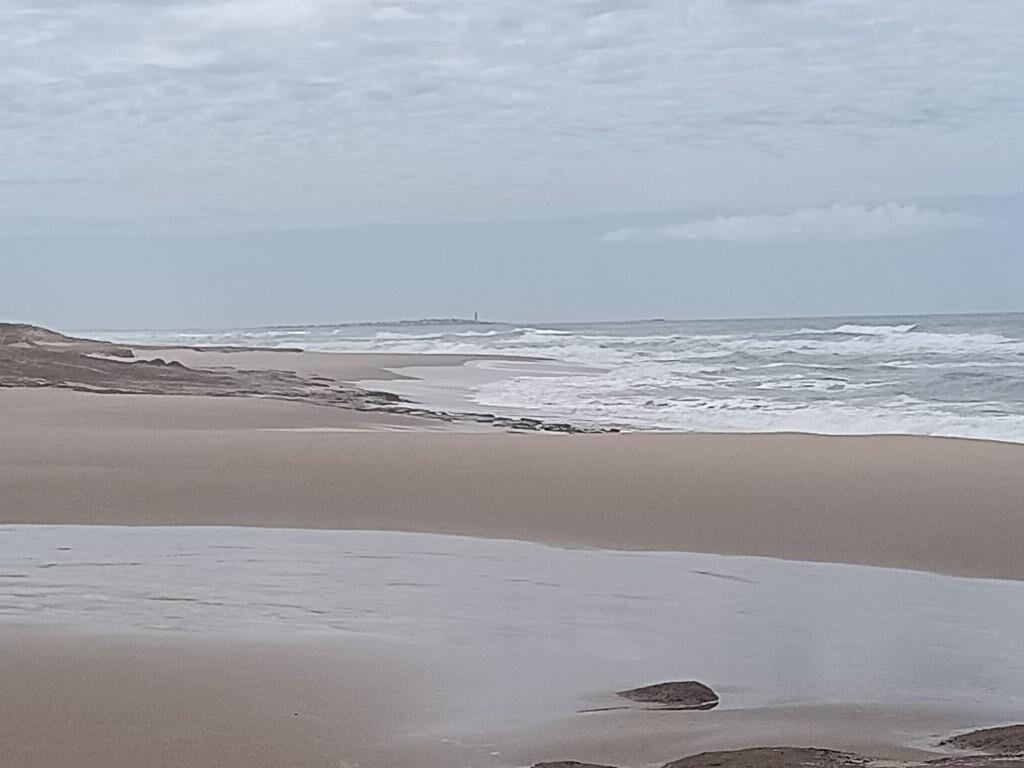 20 TERRENOS LA PERLA DE ROCHA - 21.000 M2. ESCUCHO OFERTAS
