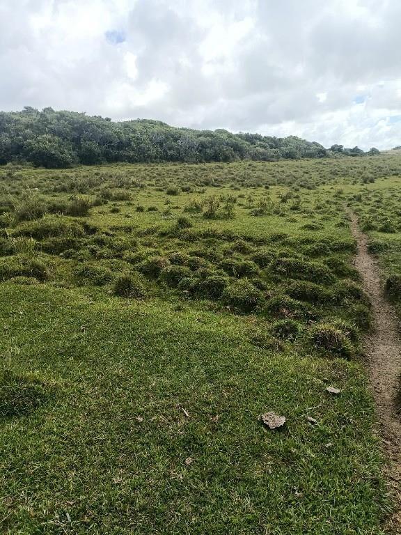 20 TERRENOS LA PERLA DE ROCHA - 21.000 M2. ESCUCHO OFERTAS