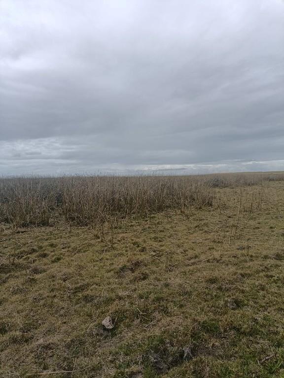 20 TERRENOS LA PERLA DE ROCHA - 21.000 M2. ESCUCHO OFERTAS
