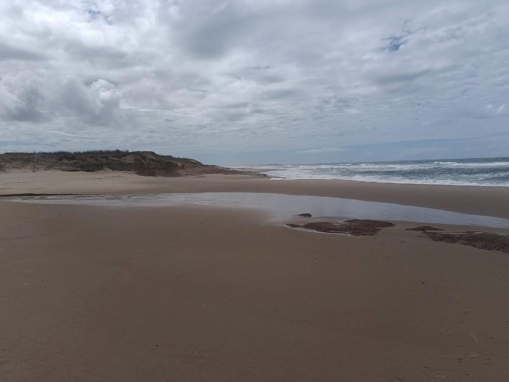 20 TERRENOS LA PERLA DE ROCHA - 21.000 M2. ESCUCHO OFERTAS