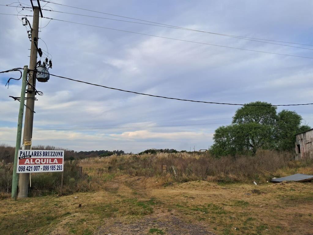 Chacra sobre Ruta 5, Progreso, km 28