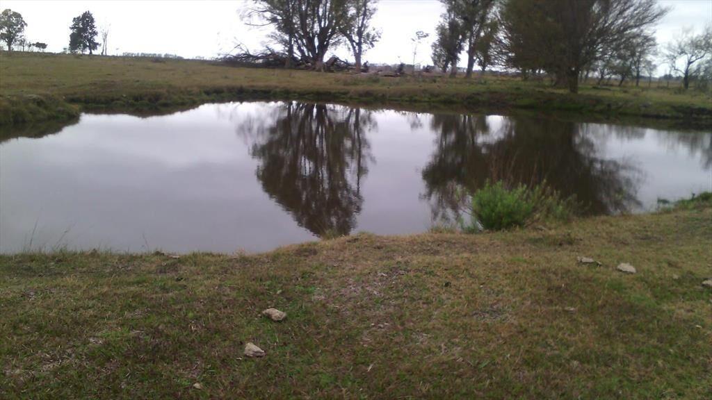 Campo en Salto
