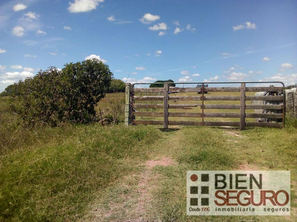 Chacra de 3 hás 6006 m², con 2 casas, en venta en Cerrillos