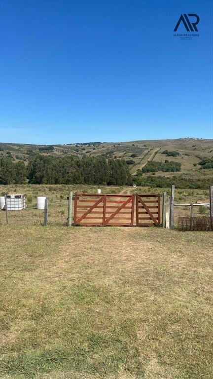 Chacra en venta de 100000m2 ubicado en Pan de Azúcar