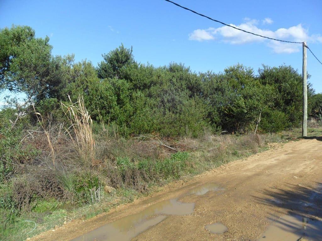 LOTE EN VENTA JUNTO AL MAR EN PUNTA RUBIA