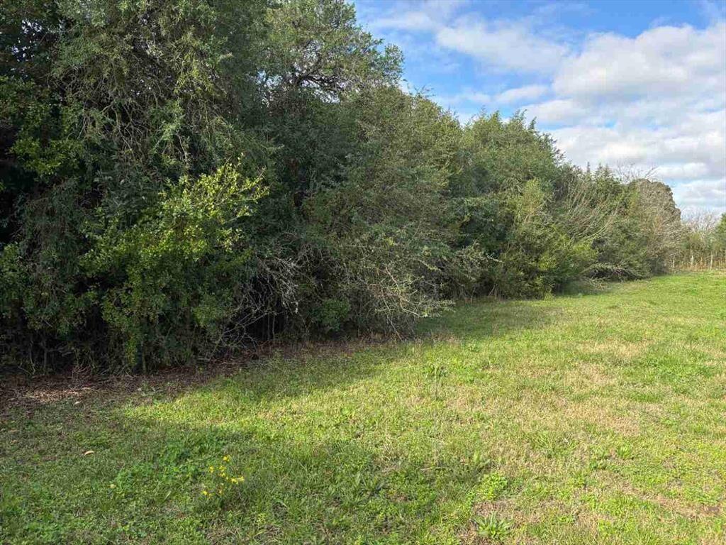 VENTA DE TERRENO EN GONZALEZ SAN JOSE