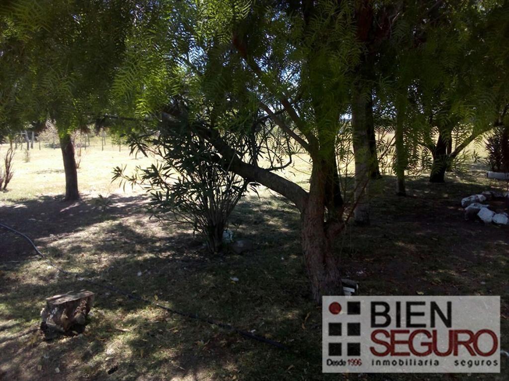 Chacra de 3 hás 6006 m², con 2 casas, en venta en Cerrillos