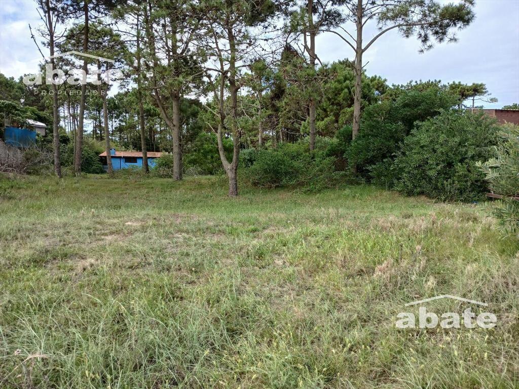 Venta Terreno en Punta del Diablo
