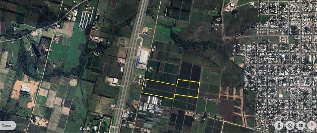 Terreno 9 hectáreas Ruta 5 km 22