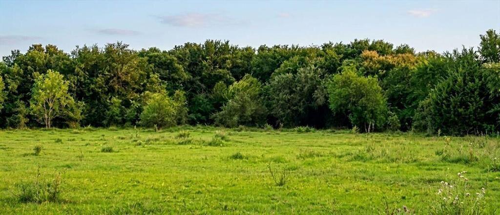 Se Vende Campo 20 Hectáreas en Rivera