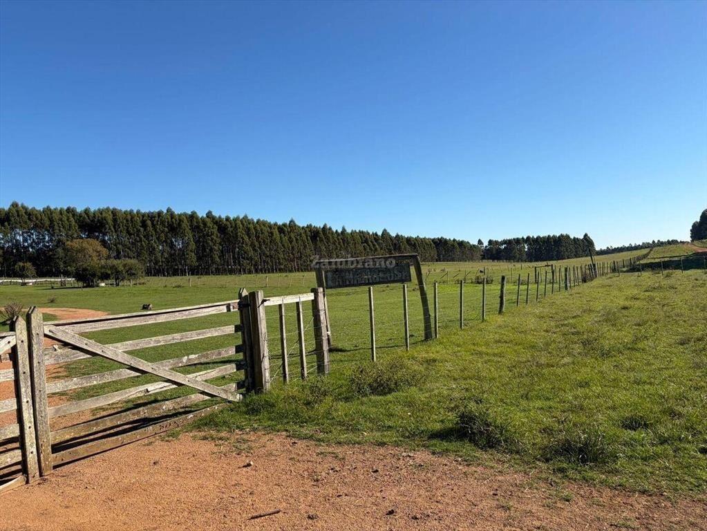 Venta Campo Durazno