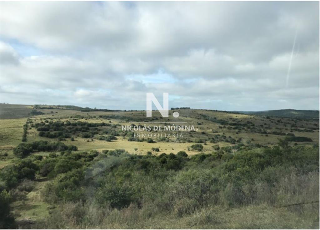 En venta campo tipo criador en Montevideo - y
