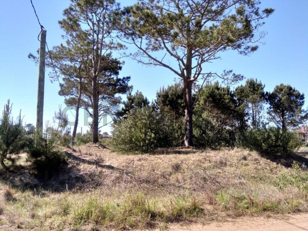 Espectacular terreno en Punta del Diablo, La Viuda 1200 m2