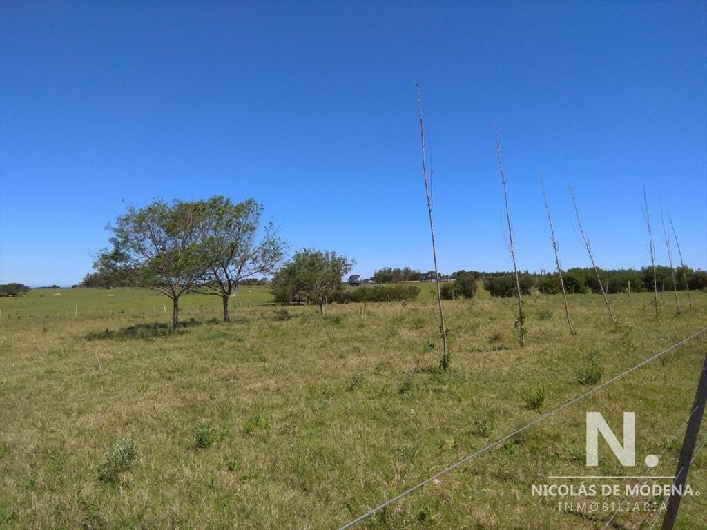 Chacra de 5 ha