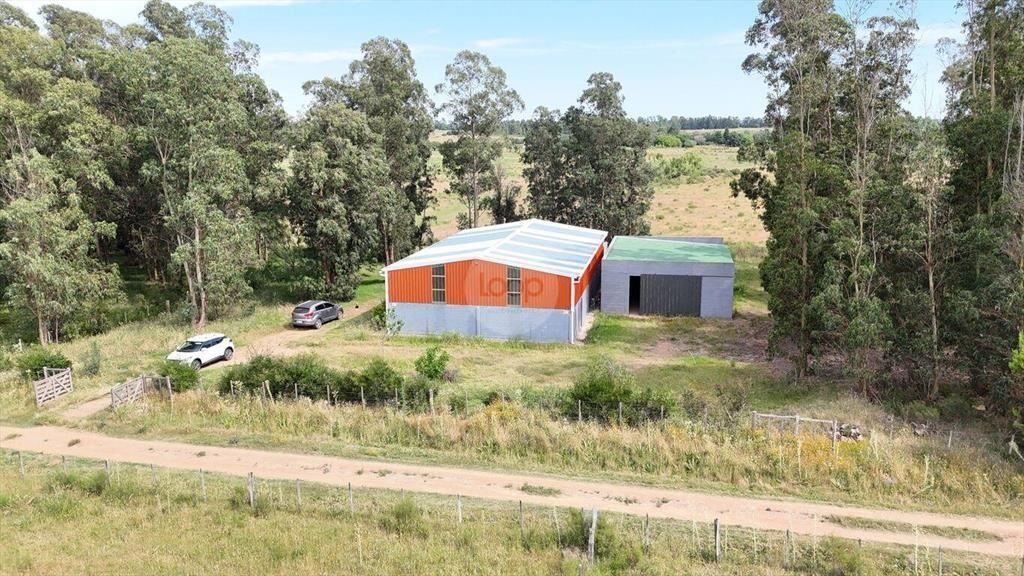 Venta Chacra 4 hectáreas en Atlántida