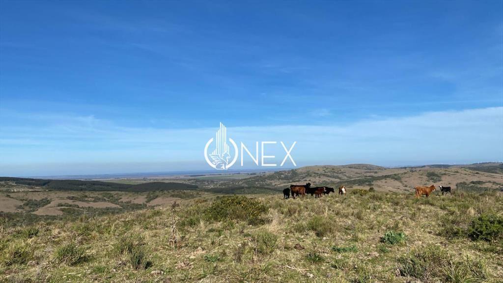Se vende chacra en Castillos, Rocha