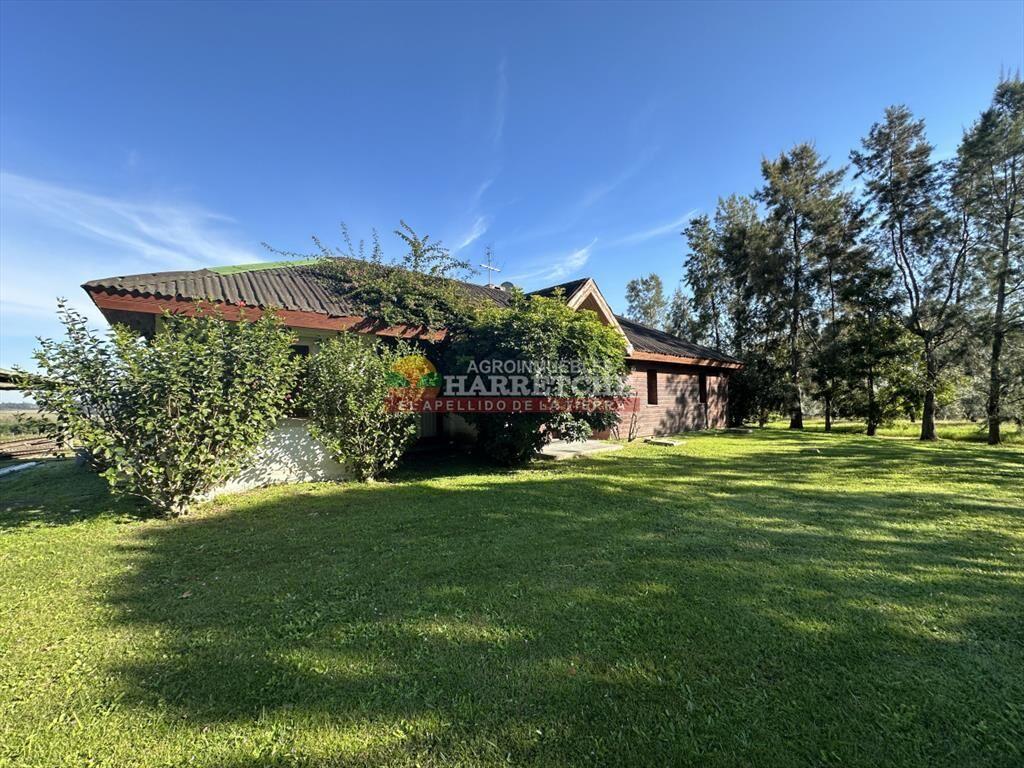 Campo de Olivos en venta, con fábrica de aceite