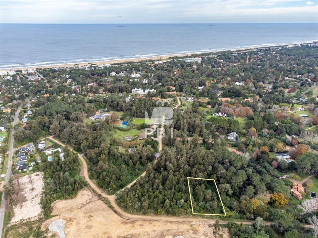 Lotes de 2.500 m en El Golf, Punta del Este