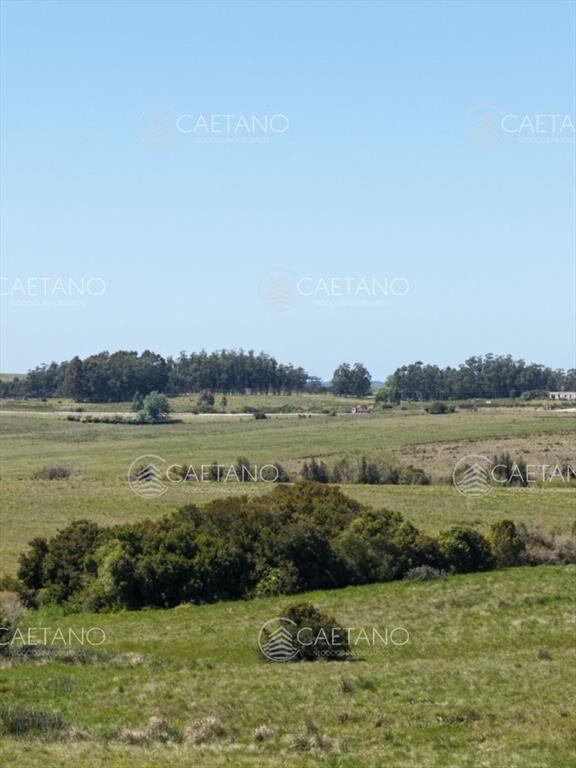 Chacras de 3 hectareas Ama Jose Ignacio , desde