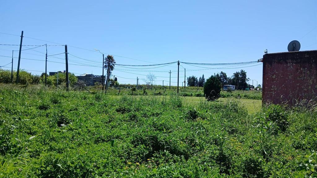 Venta de Terreno y Galpón de 1400m²