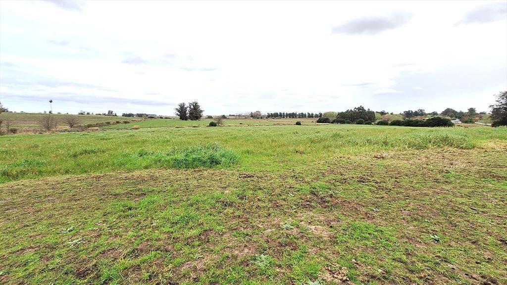 VENTA CHACRA RUTA 36 , KM 42.900 2 TAJAMARES