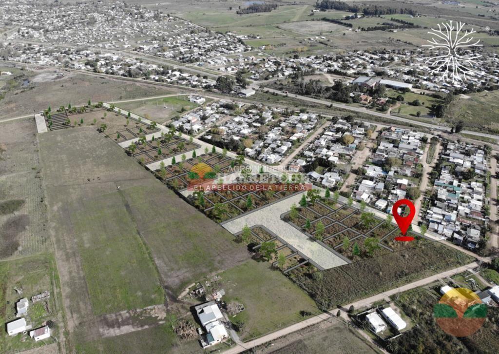 Terreno en Jardín de los Manzanos, Progreso, 690