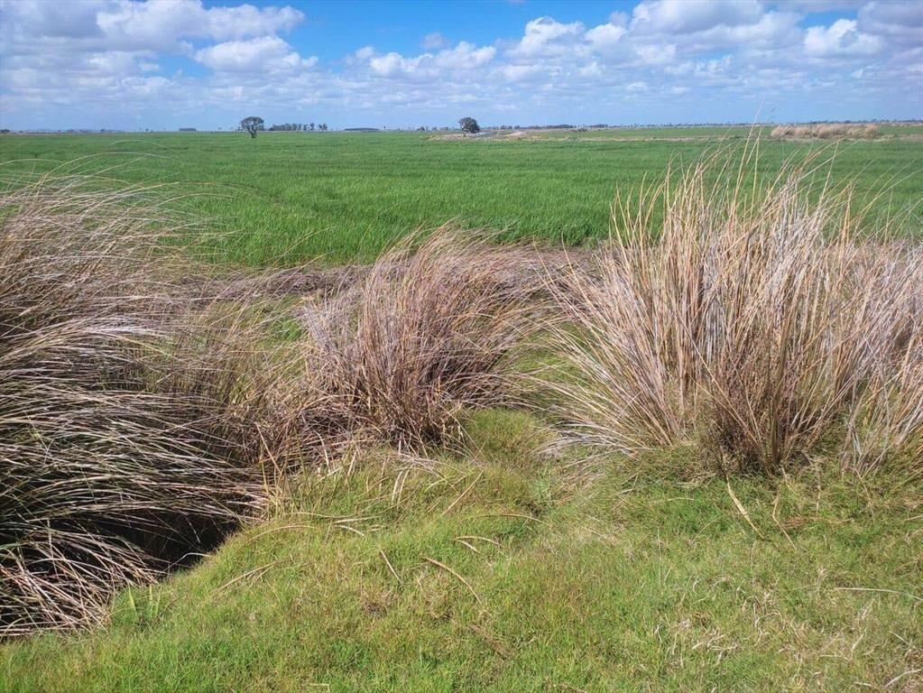 Chacras de 20 ha en Las Garzas