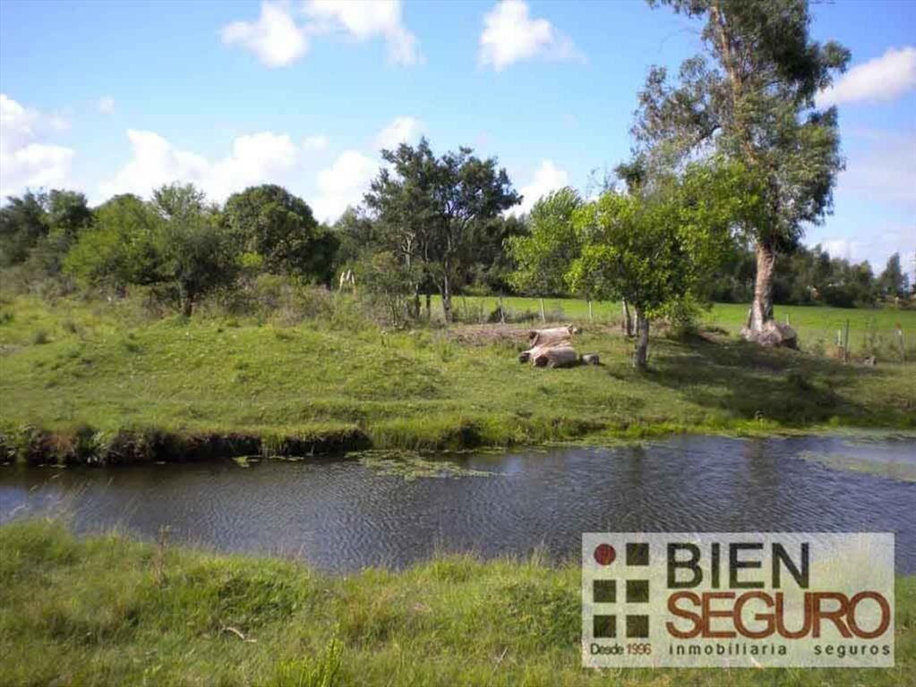 Chacra de 3 hás 6006 m², con 2 casas, en venta en Cerrillos