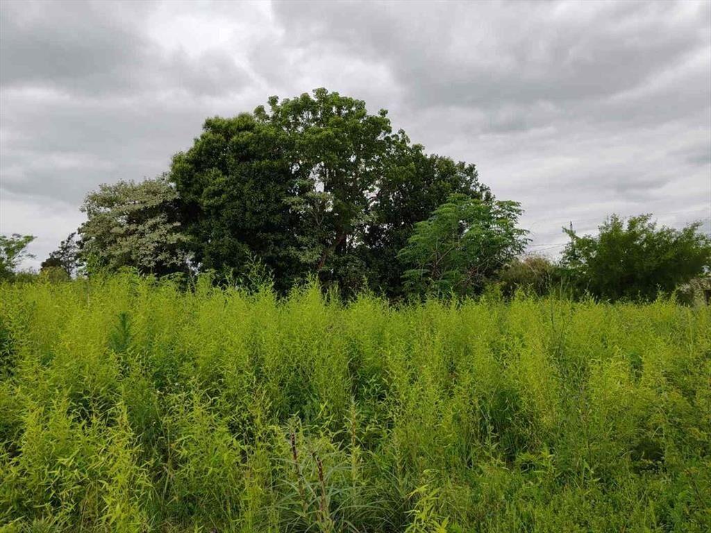 Oportunidad única: terreno de 5,075 m² a excelente