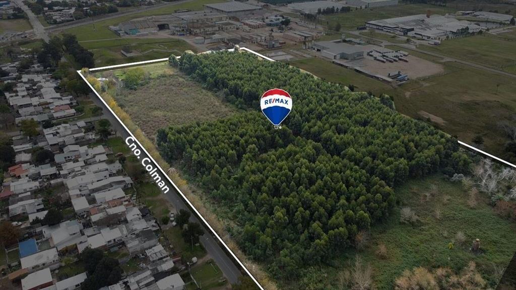VENTA TERRENO 6 HECTÁREAS SOBRE CAMINO COLMAN