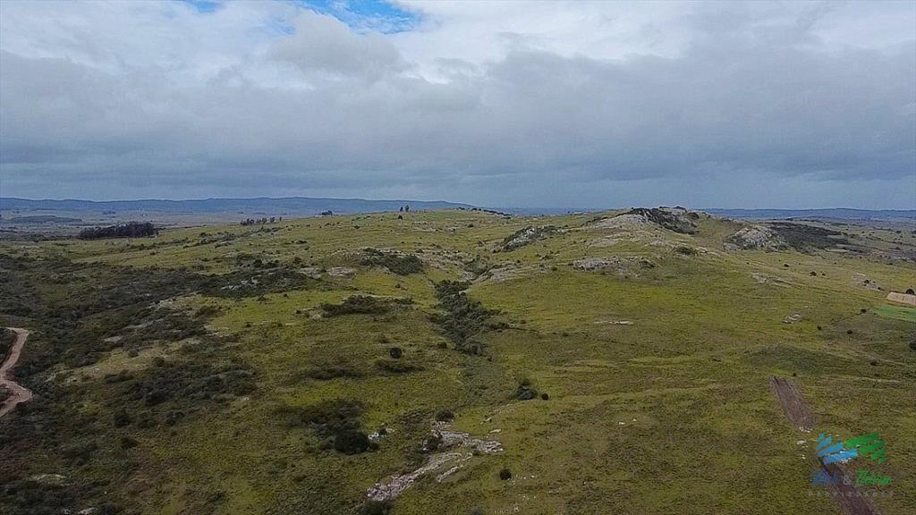 Venta en Sierra de los Caracoles 3 has Ruta 39