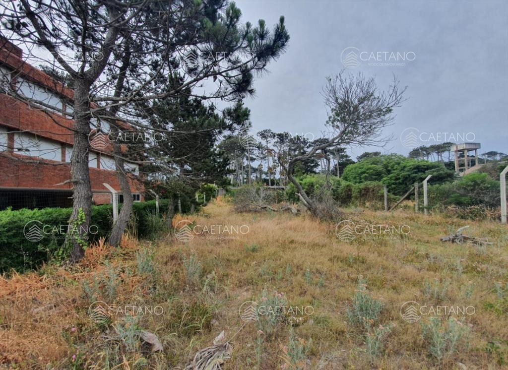 Terreno en venta en San Rafael