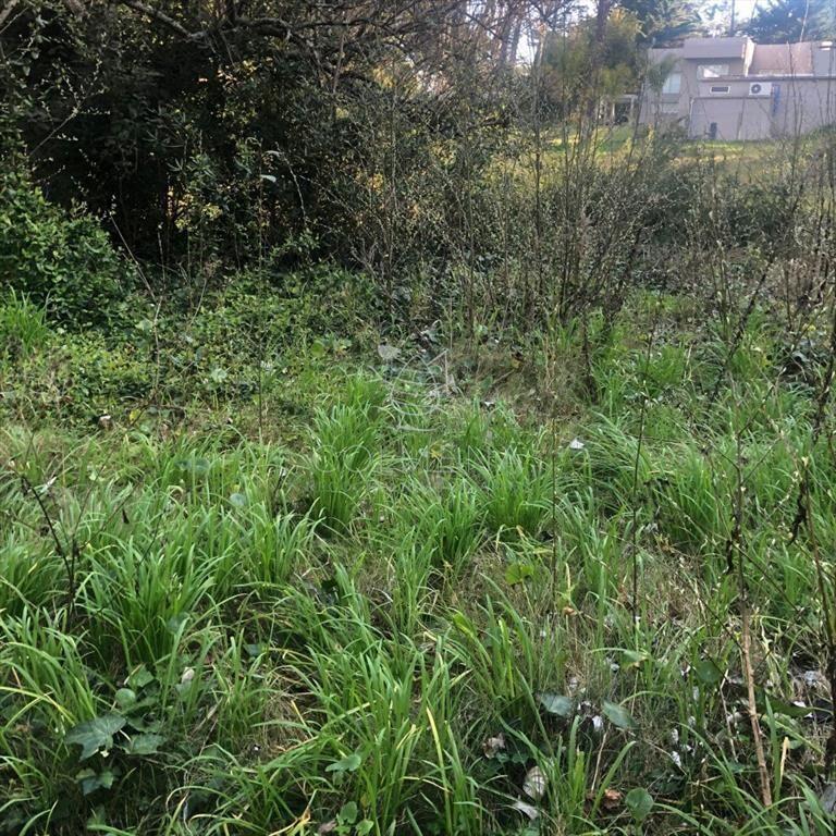 venta de terreno en San Rafael, Punta del Este