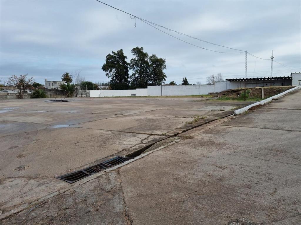 Depósito -Centro Logístico, ruta 67 próximo ruta 5,Las Pied