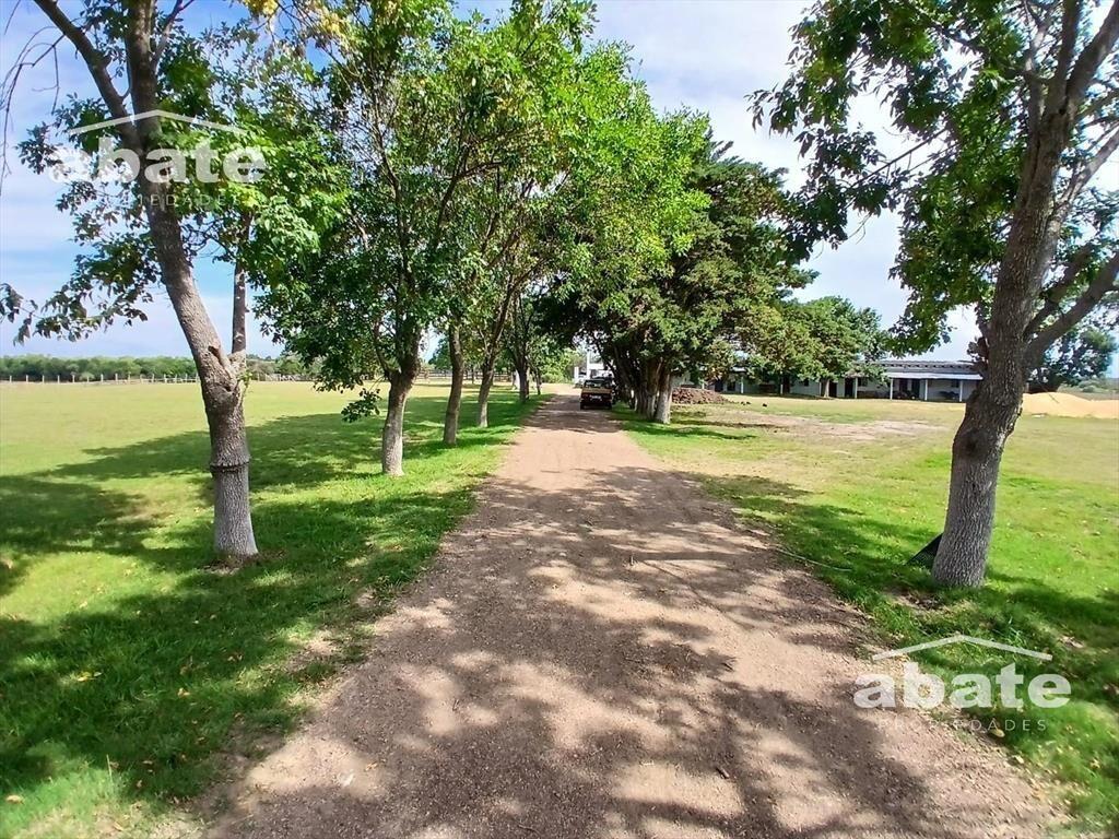 Venta de Terreno campo con mejoras en Est. Atlántida a metr