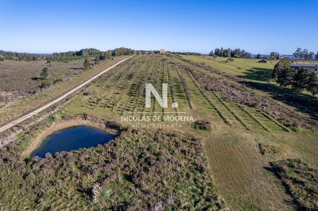 En venta Chacra en Laguna del Sauce
